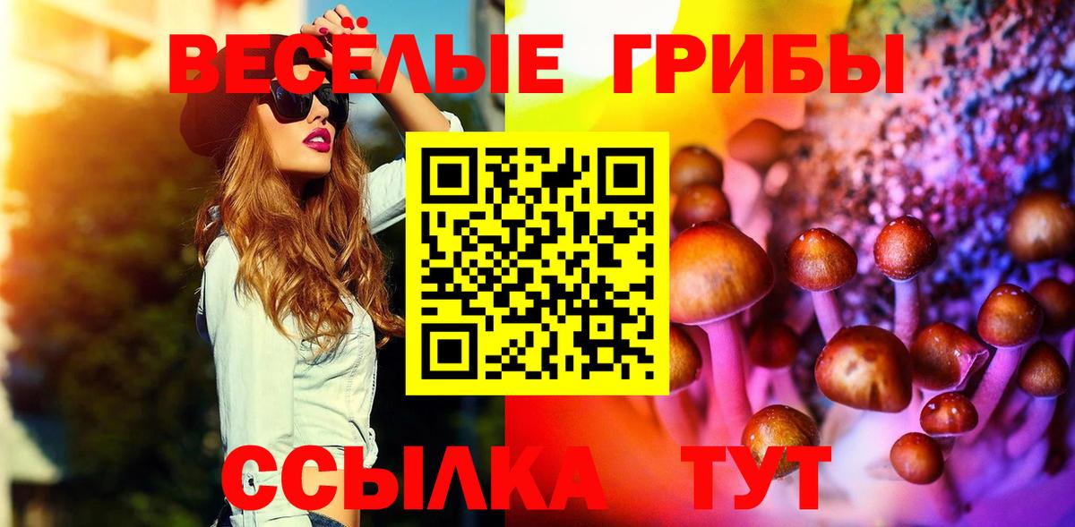Галлюциногенные грибы MAGIC MUSHROOMS  Галлюциногенные грибы Psilocybe  Вход с VPN  Донской 