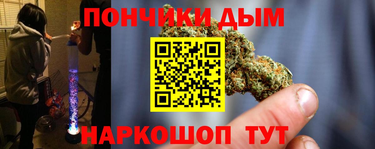 Бошки Шишки планчик Донской